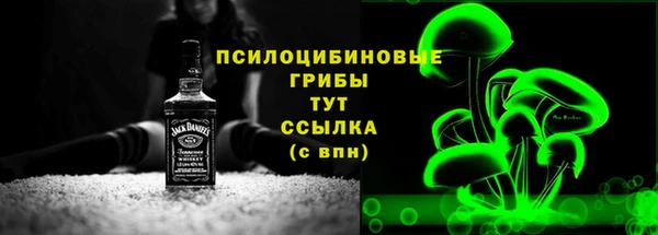гидра Армянск