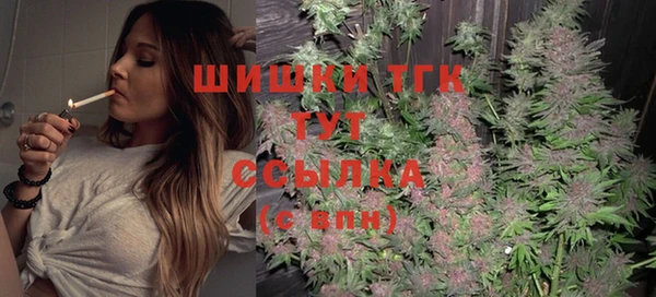 молекула духа Аркадак