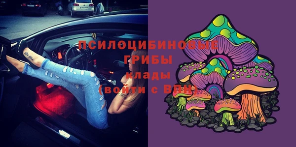молекула духа Аркадак