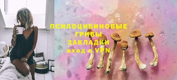 молекула духа Аркадак